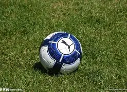 年国足风云,卡纳瓦罗竞,聘国足教头,安博体育平台,安博体育官方网站,安博体育登录入口,安博体育app下载