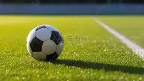 安博体育 资讯 113818 yya