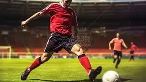 何立峰与法国部长莱斯屈尔进行视频会议